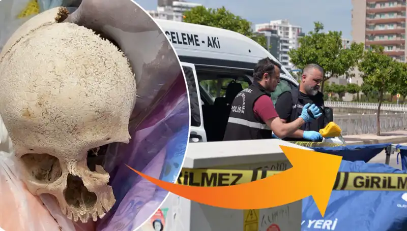 Evin Bahçesinde Bulunan Kafatasının Gizemi Çözülüyor!