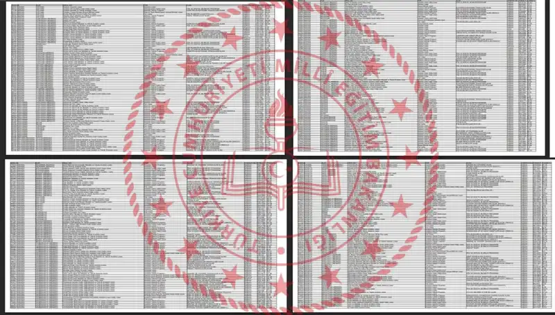 2025 Lise Taban Puanları Açıklandı: Hangi Puanla Hangi Okulda Eğitim Alabilirsiniz?