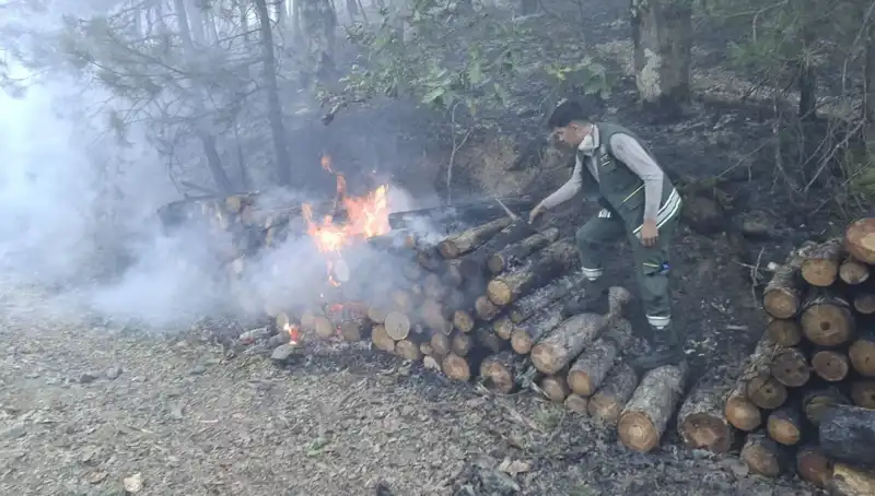 Bursa’da Üst Üste Gelen Yangınlar: Şehirde Tedirginlik Var!