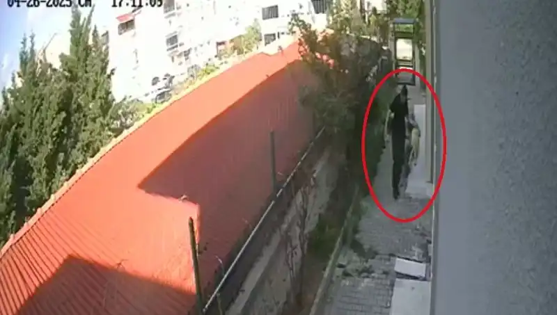 Veteriner Doktorun Şoke Eden Suçlaması: Sahiplendiği Köpekleri Öldürdü