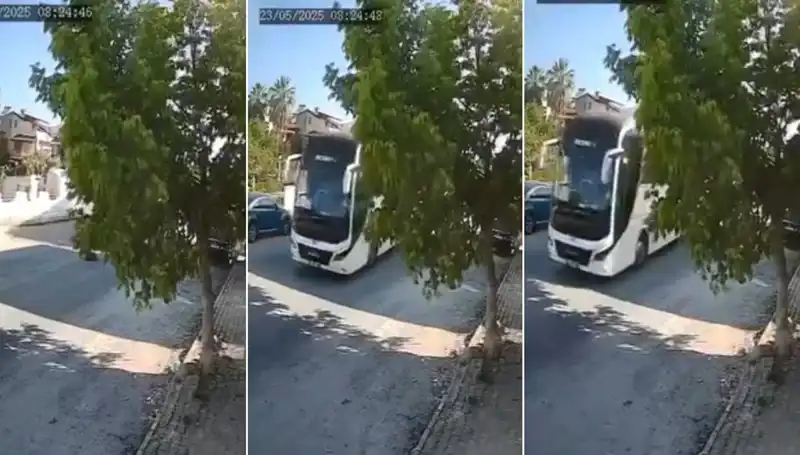 Yolun Ortasında Yatan Köpeği Ezip Geçen Şoför, Tepkileri Topladı!