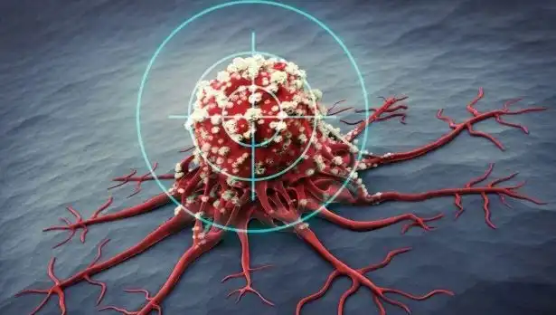Prostat Kanserine Karşı Etkili 6 Besin: Bilimsel Kanıtlar Ortaya Çıktı
