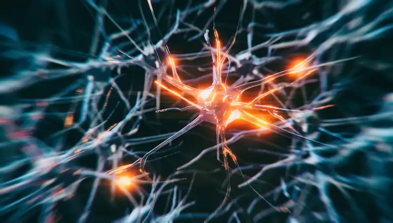 Alzheimer Vakaları Neden Artıyor? Eşsiz Bir Durum Analizi