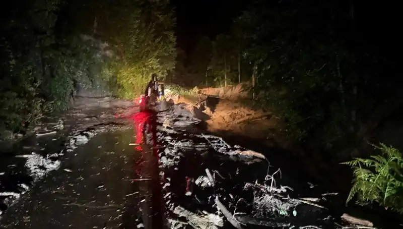 Rize'de Şiddetli Yağışlar: Sel, Su Baskınları ve Heyelan Alarmı!