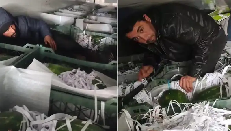 Karpuzların Arasından Çıkan Göçmenler: Sınırda Şok Gelişme