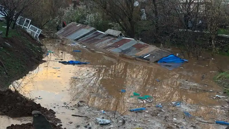 Bingöl'deki Şiddetli Sağanak: Ahırlar Sular Altında Kaldı, Can Kaybı Var mı?