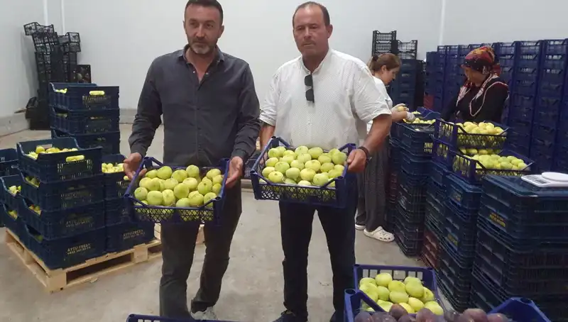 Mersinli Çiftçiler İçin Umut: 20 TL'den İhraç Edilen Ürünlerle Yüzler Gülüyor