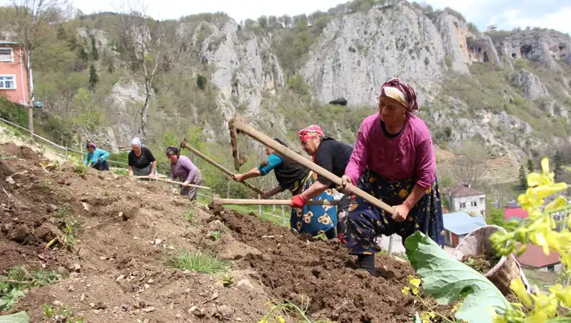 Zorlu Mesai Başladı: Sırtlarında Sepetler, Eellerinde Kazmalar ile Çalışıyorlar