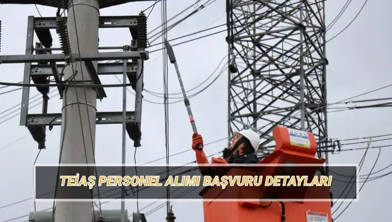 TEİAŞ Personel Alımı 2023: Başvuru Tarihleri ve Detaylar