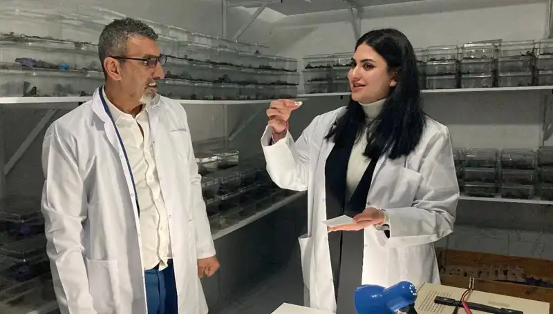 Akrep Zehiri ile Şekerin Tuhaf Buluşması ve Faydaları