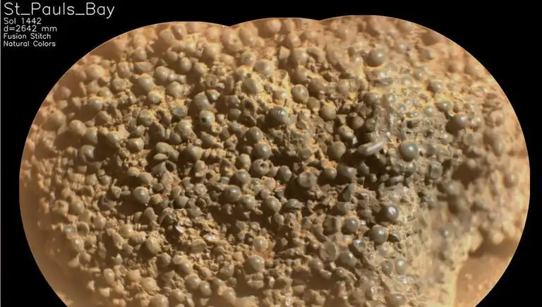 Mars'ta Şaşırtıcı Bir Keşif: Örümcek Yumurtası Benzeri Yapılar Tespit Edildi