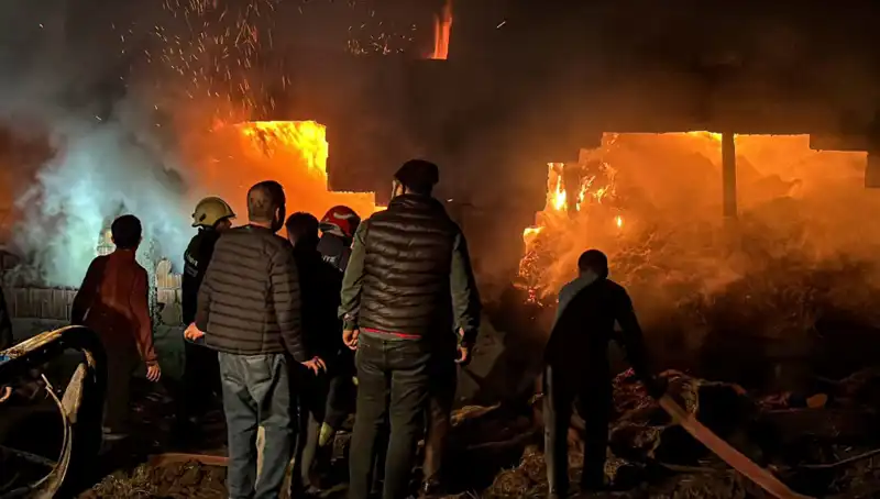 Bolu'da Korkutan Ahır Yangını: Hayvanlar ve Mülk Tehlikeye Girdi