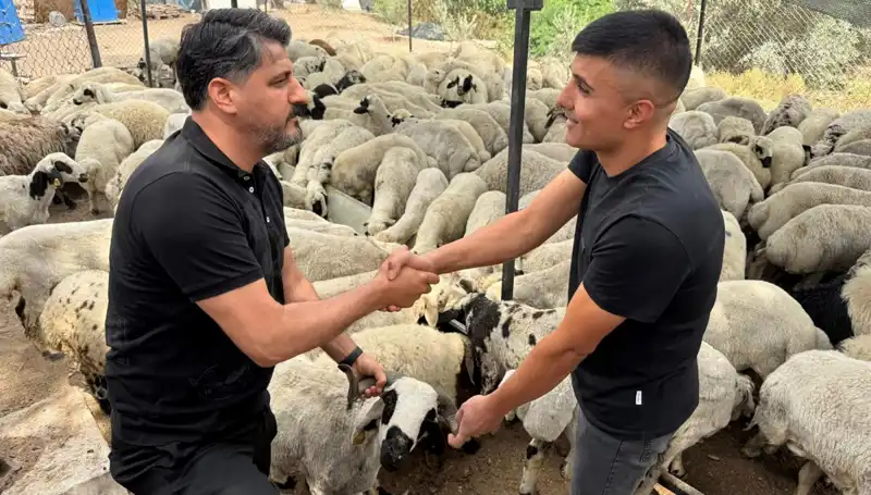 Kurbanlık Alırken Dikkat! Tuz ve Sumak Kullanımına Karşı Uyanık Olun!