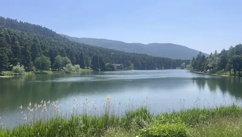 Bolu'nun Doğal Güzellikleri: Milli Parklardaki Ziyaretçi Akını