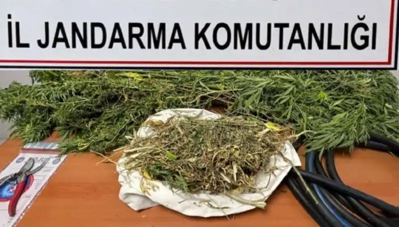 Niğde'de Uyuşturucu Operasyonu: 10 Kişi Gözaltına Alındı