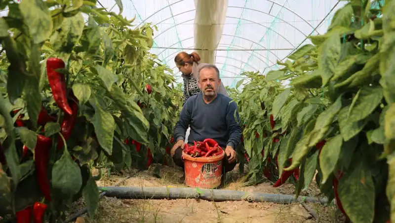 Fiyat Etiketleri Değişti: Gıda Ürünlerinde Şok Artış!