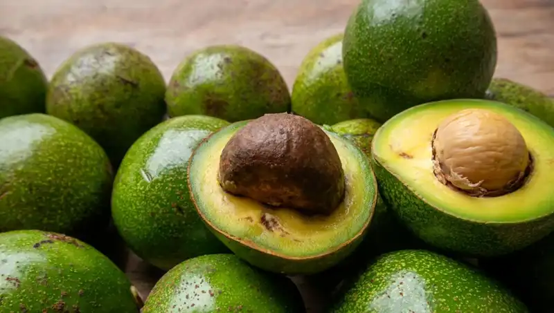 Avokado Çekirdeklerinin Bilinmeyen Faydaları: Çöpe Atmayın!