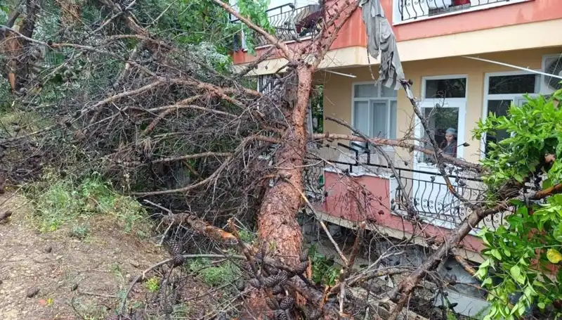 Yağmurun Gücü: Eski Bina Çöktü, Şehirde Panik Yaşandı!