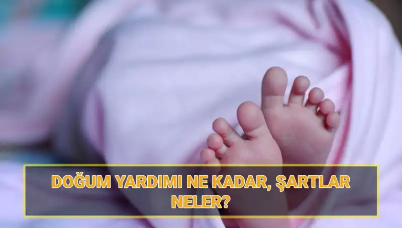 2025 Çocuk Parası Başvuruları Başladı! Şartlar ve Miktarlar Neler?