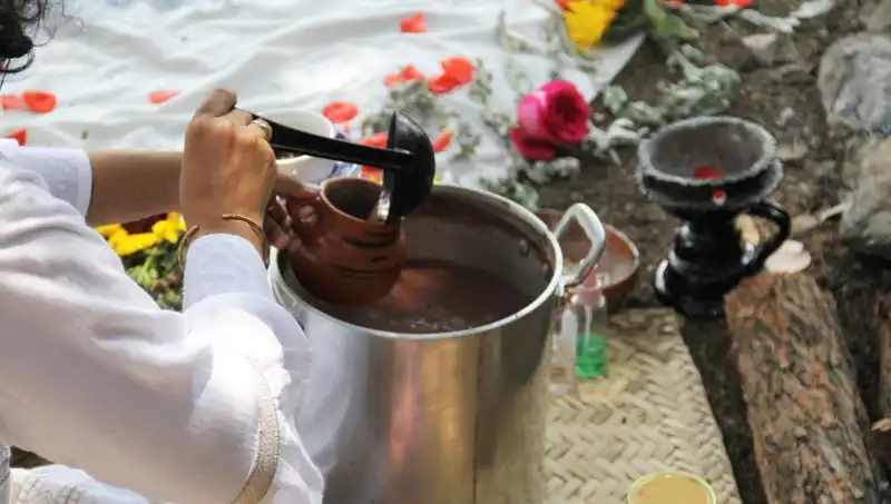 Ayahuasca Nedir? Eşsiz Deneyim ve Yasal Durumu İnceliyoruz