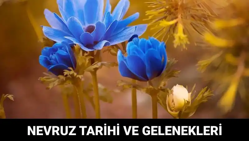 Nevruz Bayramı: Tarihin Derinliklerinden Günümüze Gelen Anlamı ve Kutlamaları