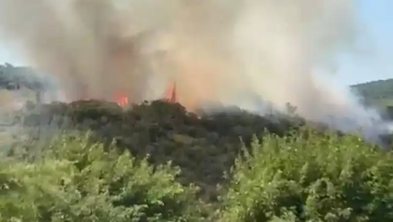 İstanbul’da Büyük Orman Yangını: Zamanla Yarışan Görevliler ve Tahliyeler