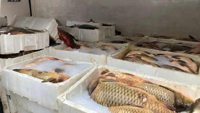 Kaçak Balık Avına Sert Ceza: Binlerce Lira Yükümlülük!